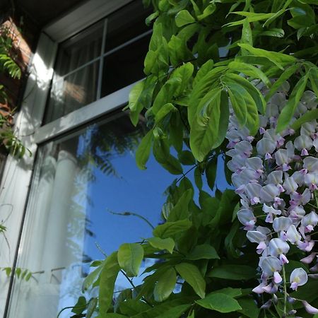 Studio Elisabeth Apartment Bruges Exterior photo