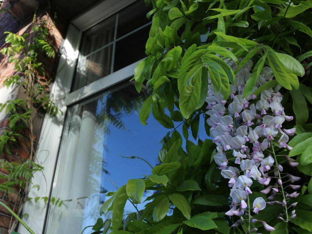Studio Elisabeth Apartment Bruges Exterior photo